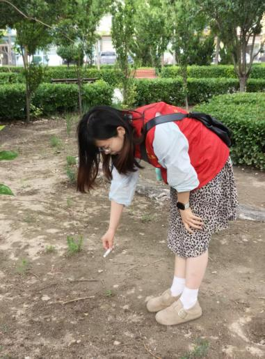 5591C